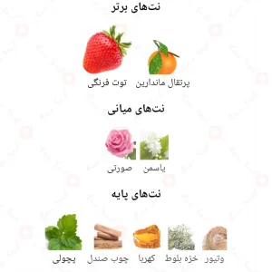 Fragrance World Dear Bherry ادکلن دیار بری