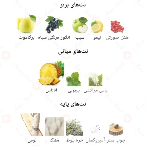 Fragrance_World_Galloway_Noir_ادکلن_گالووی_نویر