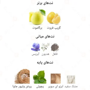 Tempete Jacques Yves ادکلن ژاک ای یو تمپت
