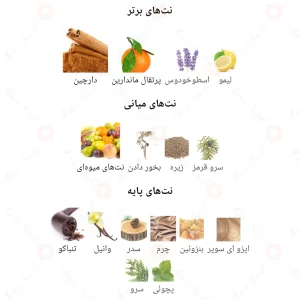 آزارو_وانتد_بای_نایت_Azzaro_Wanted_by_Night