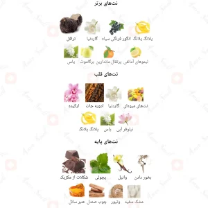 ادکلن ارکید نرا Fragrance world Orchid Nera