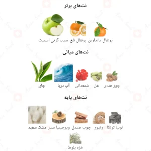 ادکلن اینتنس من Intense man fragrance world