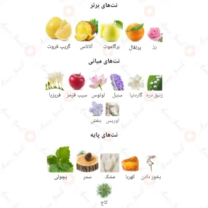 ادکلن زن فرگرانس ورد Zan Fragrance World