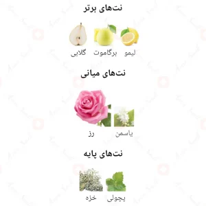 ادکلن سرنس رز Fragrance World Serene Rose