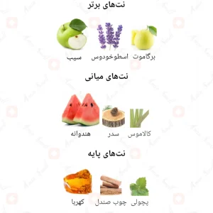 ادکلن نوبل رد فرگرانس ورد Noble Red