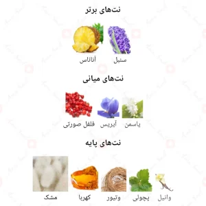 ادکلن_اکسنت_اپرا_Accent_opera_Fragrance_World_