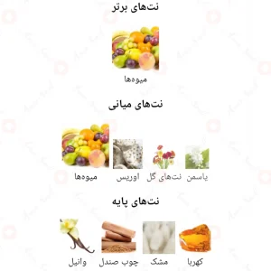 ادکلن_بلا_دولچه_فرگرانس_وردBelle_Dolce_Fragrance_World5