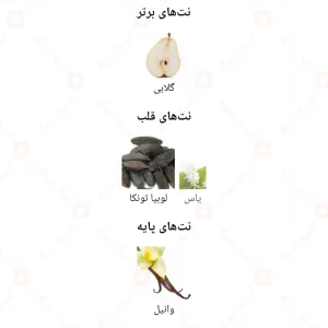 ادکلن_بله_سلین_وومن_بیوتی_Belle_celine_women_beauty