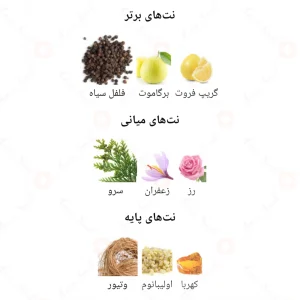 ادکلن_بلک_اند_وایت_Fragrance_World_BLACK_WHITE