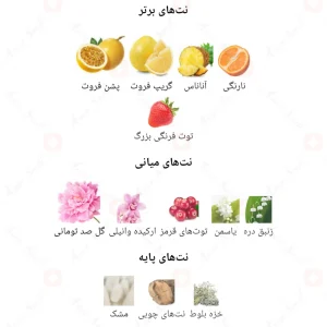 ادکلن_رز_سداکشن_فور_وومن_Rose_Seduction_For_Women