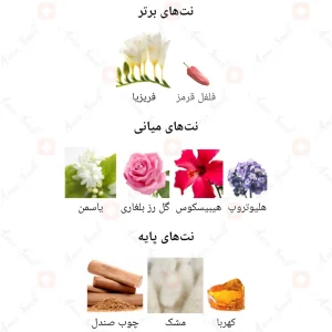 ادکلن_فراگرنس_ورد_د_کاستا_Fragrance_World_De_Costa