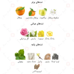 ادکلن_فراگرنس_ورد_میوز_Fragrance_world_MEUSE