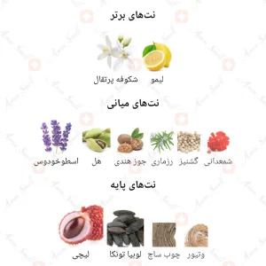 ادکلن_کربن_بلک_فراگرنس_ورد_Carbon_Black