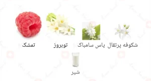 اسکندانت_سو_نایس_Fragrance_World_Escandante_So_Nice