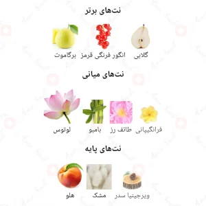 عطر اکلت ویکند Eclat Weekend Fragrance World