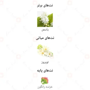 عطر_بلومینگ_فلاور_Fragrance_world_Blooming_Flower