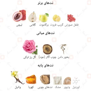 عطر_شالینا_اکسکلوسیف_Fragrance_World_SHALINA_EXCLUSIVE