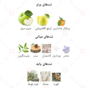 عطر_فراگرنس_ورد_میدوری_Fragrance_World_Midori
