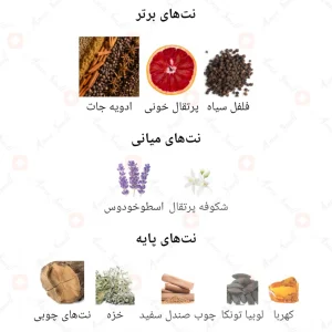 عطر_فراگرنس_ورد_نایت_Fragrance_World_Knight