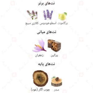 عطر_مارلی_هارتنل_Fragrance_World_Marly_Hartnell