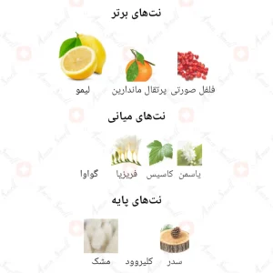 عطر_ورسوس_دایموند_بلو_فراگرنس_ورد_Versus_Diamond_Blue_