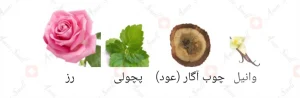 عطر_پرایویت_آرمی_رز_عربیا_Private_Army_Rose_Arabia_