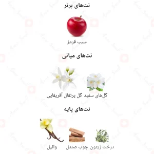 فراگرنس_ورد_مدل_باس_اورنج_Fragrance_World_Base_Orange