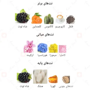 پیور_اله_فرگرانس_ورد_Pure_Elle_Fragrance_World