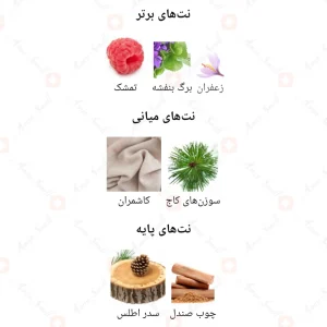 گرین سفیر فراگرنس وردGreen Sapphire